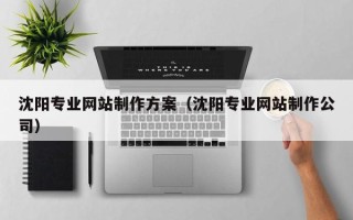 蓬莱沈阳专业网站制作方案（沈阳专业网站制作公司）